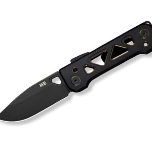 WE Knife Tyro 20CV Titanium All Black