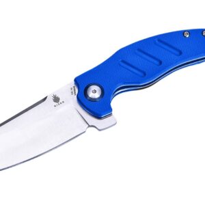 Kizer Mini Sheepdog C01C Blue