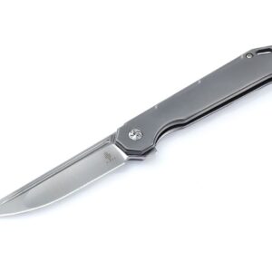 Kizer Begleiter Titanium