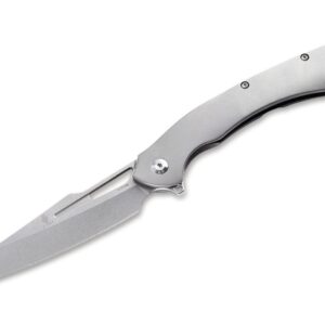 Kizer Raja