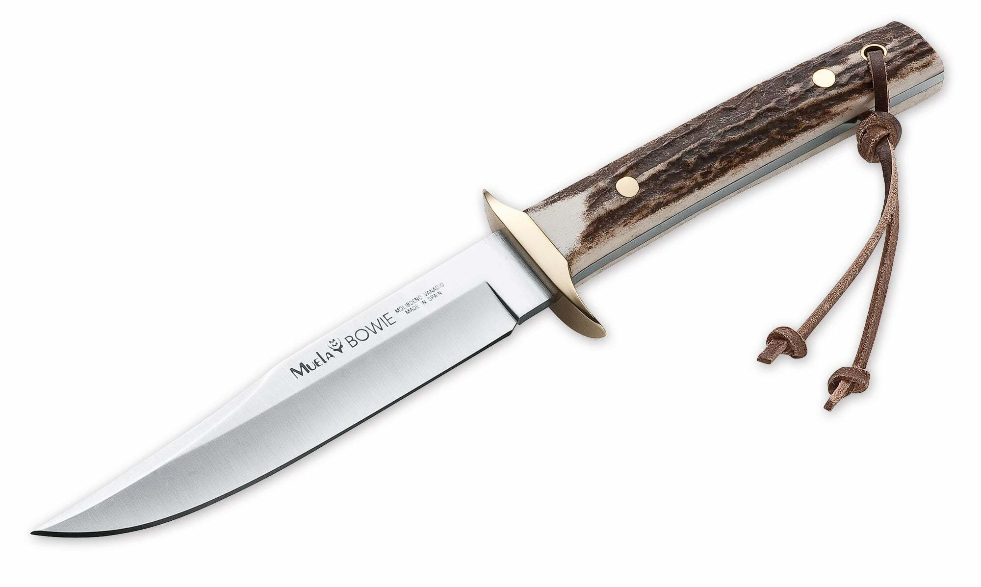 Muela Bowie Medium