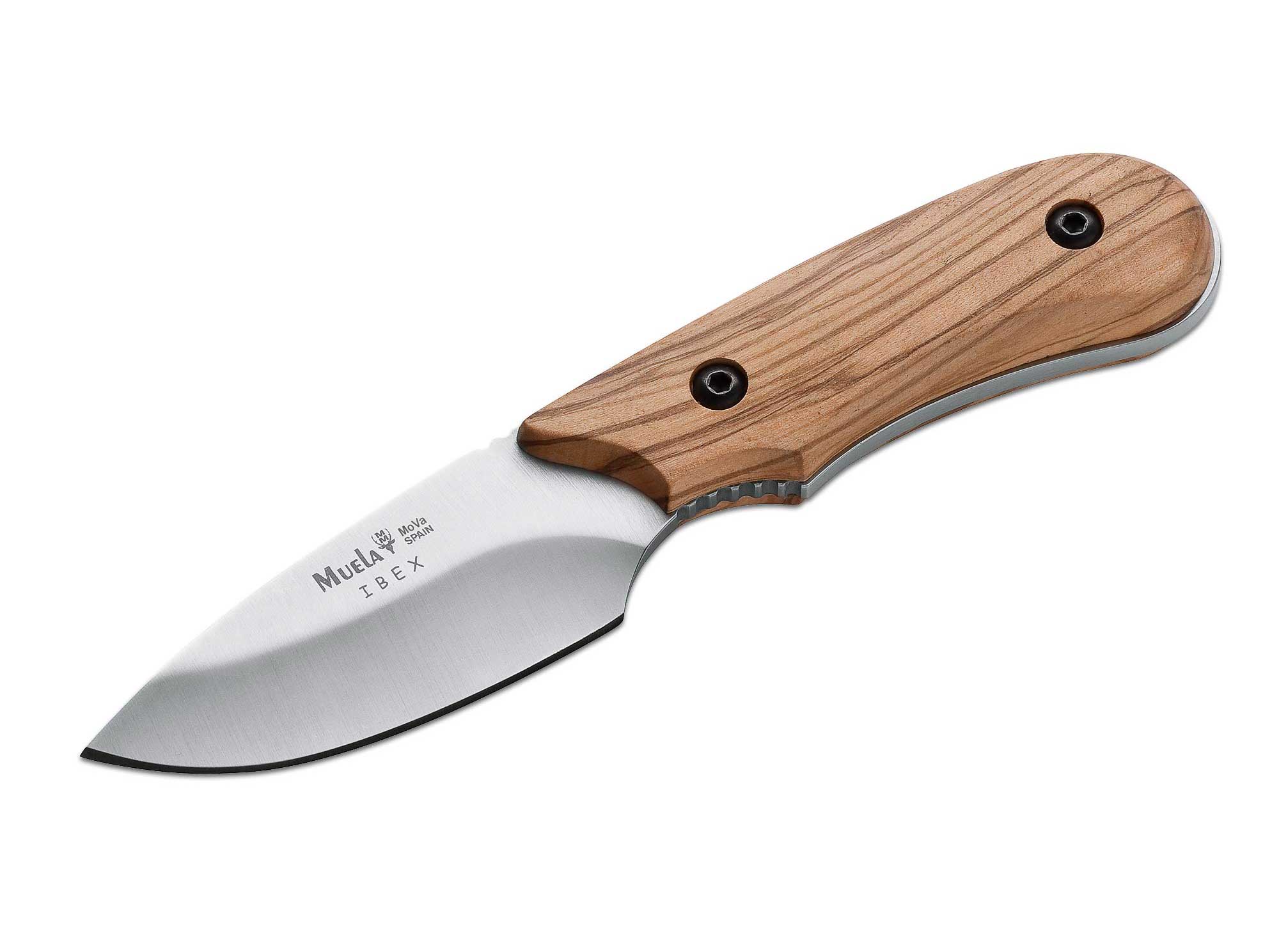 Muela Ibex Olive