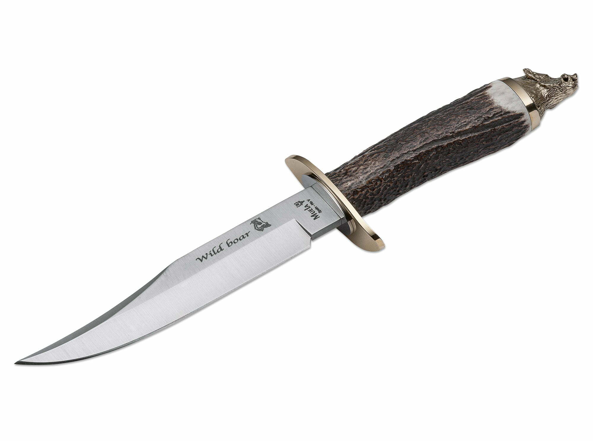 Muela Wildboar Stag