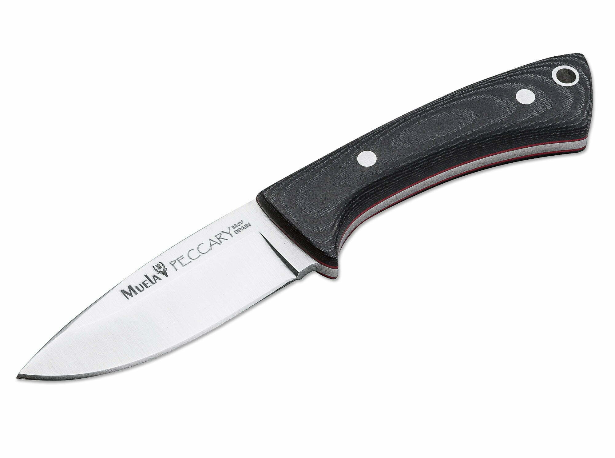 Muela Peccary Black