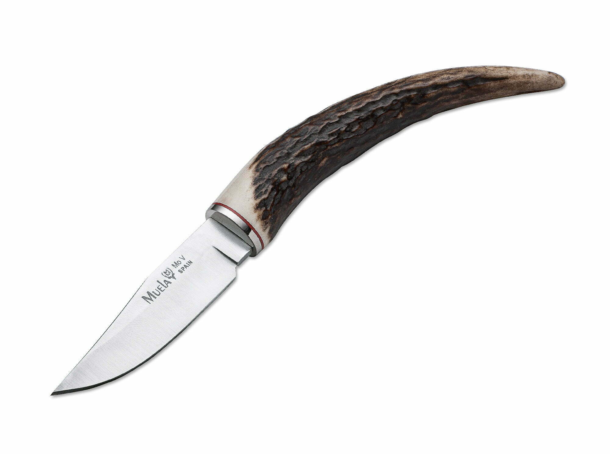 Muela BW-6C Stag