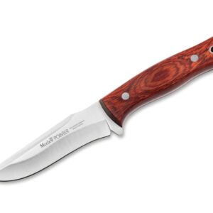 Muela Pointer