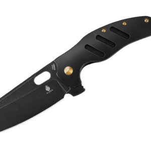 Kizer Sheepdog C01C XL S35VN Titanium All Black