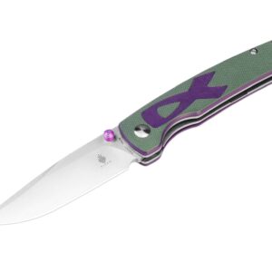 Kizer Fighter G10 Purple & Green