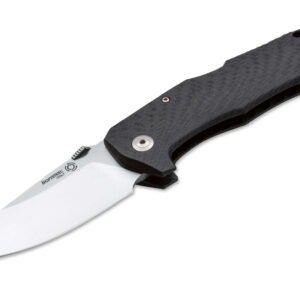 LionSteel TM1 Carbon