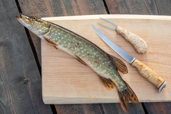 ARCTIC LEGEND Fillet Knife CB SS
